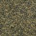 Wholefood Earth Organic Dark Green French Style Lentils 3kg GMO Free | Vegan | High Fibre | High Protein | Certified Organic - Buy Online on GoSupps.com