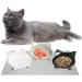 Buy Suppal Base: Waterproof Non-Slip Silicone Food Mat for Cats & Dogs - International Shipping Available - Buy Online on GoSupps.com