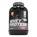 Mammut Nutrition Whey Protein Strawberry CheeseCake Chocolate Chips whey protein protein shake 3000 g Strawberry cheesecake 3 kg (1 Pack)