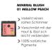 Sante Natural Cosmetics Mineral Blush 01 Mellow Peach Vegan Silk-Soft Texture Radiant Color Organic A a Oil | 5g | Shop Internationally - Buy Online on GoSupps.com
