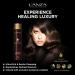 L'ANZA Keratin Healing Oil Lustrous Shampoo - Nourishing and Repairing for Damaged Hair | Boosts Shine and Strength | Sulfate, Paraben, and Gluten-Free - 10.1 Fl Oz - Buy Online on GoSupps.com