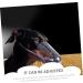 Toddmomy Cat Muzzle Dog Masks Breathable Muzzle Mask Dog Face Muzzle Mouth Pet Mask Dog Muzzles Pp 1 - Buy Online on GoSupps.com