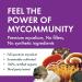 Host Defense MyCommunity Capsules Comprehensive Immune Support with 17 Mushroom Supplements Lion's Mane Chaga Mushroom Reishi Cordyceps Turkey Tail Certified Organic Vegetarian Capsules 60 count (Pack of 1) - Buy Online on GoSupps.com