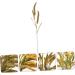 Zerodeko 2pcs Simulated Ears of Corn Dried Wheat Decor Vegetable Plants Dried Wheat Stalks for Decorations Thanksgiving Bouquets Home Decor Fake Grass Decor House Artificial Pu Ornaments Greenx2pcs 12X75CMx2pcs - Buy Online on GoSupps.com