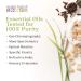 Aura Cacia Relaxing Lavender Aromatherapy Bubble Bath | Pack of 3 - 13 fl. oz - Buy Online on GoSupps.com