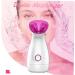 Baluue 2pcs Facial Spa Steamer Portable Facial Mister Face Humifigier Facial Care Steamer Facial Steamer - Buy Online on GoSupps.com