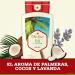 Buy Old Spice Fiji Red Coffee 16 Fl Oz - Refreshing Men s Scent - International Shipping Available - Buy Online on GoSupps.com