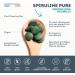 Organic Spirulina Ultra Pure 1500 mg - No Excipients Rich in Proteins Phycocyanin Iron Antioxidants - Immunity Fatigue - 200 Tablets - Vegan - Made in France Vitavea - Buy Online on GoSupps.com