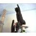 Purrs Dragonfly Prey Attachment- Fits PurrSuit Frenzy & DaBird wand Cat Toys - Buy Online on GoSupps.com