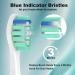 Replacement Toothbrush Heads for Philips Sonicare - Compatible Snap-On Brush Heads (12 Pack - Buy Online on GoSupps.com