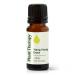 Plant Therapy Ylang Ylang Extra Essential Oil 10 mL (1/3 oz) 100% Pure Undiluted for Calming Aromatherapy Romantic Gift Ylang Ylang Extra 0.33 Fl Oz (Pack of 1)