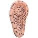 Human Ear Acupuncture Points Model - Transparent PVC Learning Tool for Home Use | Universal Acupuncture Anatomy - Buy Online on GoSupps.com