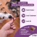 Itiko Joint & Bone Protection for Dogs | Green Lipped Mussel MSM Glucosamine Chondroitin & Omega 3 | Natural Alternative to Joint Tablets | Devil's Claw for Dogs - Buy Online on GoSupps.com