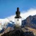 Shilajit Resin Stronglife Himalayan Liquid Oil Drops 30 Gram Equivalent | Natural Source of Fulvic Acid & Mineral Oral Drops | UK Lab Certified | 30ml - Buy Online on GoSupps.com