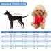 Cozy Dog Sweater for Small Dogs - Cute Cotton Hoodie Warm Pullover XL Red - Perfect for Pets! - Buy Online on GoSupps.com