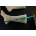 Silicone Female Mannequin Long Foot Display with Red Nail for Jewelry, Shoes, and Socks - Buy Online on GoSupps.com