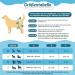 Slowton Washable Dog Diapers for Bitches - 3 Pack Soft & Eco-Friendly Heat Pants with Adjustable Buttons for Incontinence & Heat - Buy Online on GoSupps.com