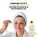 Buy Bella B Gift Set: Face Toner 5.1oz & Serum 1.7oz - Perfect International Shipping - Buy Online on GoSupps.com
