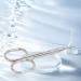 Nail Cuticle Trimmer Scissors Smoothly Arc Shaped Design Manicure Cuticle Trimmer Scissors for Nail Salon - Buy Online on GoSupps.com