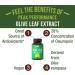 Pure High Strength Olive Leaf Extract Capsules with 20% Oleuropein | Vegan | High Antioxidant | Immune Support for Men and Women | USA Tested Supplement - Buy Online on GoSupps.com
