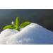 Zerocal Stevia 1:1 - Natural Sugar Substitute for Healthy Living | Shop Internationally - Buy Online on GoSupps.com
