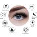 Natural Look Magnetic Eyelashes - Magnetic Eyelashes Kit With Applicator | Easy To Wear Lumentes Magnetic Eyelashes | No Glue Natural Look Lashes For Travel And Parties Confident Look - Buy Online on GoSupps.com