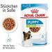 ROYAL CANIN X-Small Puppy | Double Pack | 2 x 12 x 85 g | Wet Food for Very Small Breed Puppies | Up to 10 Months | Chunks in Sauce | in Sachet - Buy Online on GoSupps.com