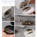 Anti Mosquito Fly Trap Lamp Bionic Purple Light Wave Pest Control Bug Zapper for Household Killing Mosquito Supplies - Buy Online on GoSupps.com