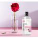 Hydrating Rose Water Toner - Alcohol-Free Astringent for Dry Skin | 12 fl oz | Refreshing Natural Face Toner - Buy Online on GoSupps.com