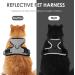 Breakproof Cat Leash Set & Adjustable Soft Kitten Vest | Reflective Stripes | Gray Small Cat Dishes | Ideal for Small Kittens - Buy Online on GoSupps.com