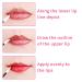 Buy Mreechan 100 Pcs Disposable Lip & Mascara Brushes - Perfect Makeup Tool Kit for Lips & Eyes | International Shipping Available - Buy Online on GoSupps.com