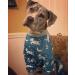 Pit Bull Pajamas: Cow Moon Star Print Jumpsuit for Large Dogs - X-Large - Buy Online on GoSupps.com