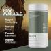 Fortitude Health NMN Capsules | 500mg NMN Pure & Potent B-Nicotinamide Mononucleotide NAD+ Booster Supplement Vitamin B3 | Supports Cellular Health Boost NAD+ Anti-Aging Brain Health | 60 Capsules - Buy Online on GoSupps.com