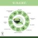 Organic Matcha Powder - Powerful Antioxidant - Premium Quality Japanese Matcha Tea - Green Food Coloring - Kitchen and - Buy Online on GoSupps.com