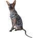 Kotomoda Cat's Cozy Comfort for Hairless Beauties: Winter Turtleneck Panther grey for Sphynx and Naked Cats (X-Small) X-Small Grey - Buy Online on GoSupps.com