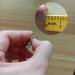 Metal Zipper Pull Tab Replacement for Suitcases, Luggage, Jackets - Sliver and Black - Buy Online on GoSupps.com