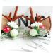 FRCOLOR 2 Pairs Cat Ears Antler Hair Clip Antlers Deer Horn Antler Barrette Deer Hair Barrettes Clip Barrettes for Christmas Hair Clips for Cute Alloy Clip Decorate Miss - Buy Online on GoSupps.com