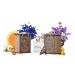 DJ Love Forever for Him and Her Luxurious Romance Perfume (Gift Set 2 x 60ml) for Men and Women | Eau De Parfume | | Perfectly Loved Gift & Long Lasting | | Made in Dubai | 120ml