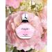 DELIGHTFUL POUR FEMME EAU DE TOILETTE 3.4 FL. OZ EDP Floral fragrance for Women. - Buy Online on GoSupps.com