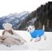 Blue L Dog Coat & Sweater for Small Dogs - Chihuahua Clothing | Winter & Indoor/Outdoor Use - Buy Online on GoSupps.com