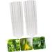 Toddmomy Garden Fruit Mould 10 Pcs Vegetable Shaping Mold Vegetables Square Cucumber Mold Vegetable Shape Mold Gourd Accessories - Buy Online on GoSupps.com
