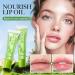 FAYANK U Lip balm Repair Avocado Oil - Buy Online on GoSupps.com