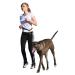 Kerbl 81181 Jogging Leash Active with Hip Belt - Ideal for Hands-Free Dog Exercise | International Shipping Available - Buy Online on GoSupps.com