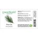 Pine Scotch Essential Oil 4 fl oz (118 ml) Glass Bottle w/Glass Dropper 100% Pure Essential Oil GreenHealth - Buy Online on GoSupps.com
