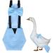 Adjustable Pet Diapers for Chickens Ducks & Geese - Washable Cloth Poultry Diapers - Buy Online on GoSupps.com