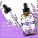 Premium Lavender Essential Oil for Facial and Body Skin Care - Buy Online on GoSupps.com