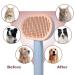 Self-Cleaning Cat Brush for Long & Short Hair - Orange | Removes Loose Fur & Dirt - Buy Online on GoSupps.com