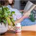 Nutridom Complete Women's Multivitamin | Iron Vitamin D3 B-Vitamins and Antioxidants C & E | Gluten-Free Non-GMO 60 Vegetable Capsules - Buy Online on GoSupps.com