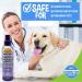 Waterless Dog Shampoo | Natural Dry Shampoo for Dogs & Cats | Vet Approved - Lavender 8oz - Buy Online on GoSupps.com