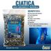 Ciatica Compuesto Herbal T 4 oz - Alivio Natural para el Dolor del Nervio Ci tico | Sciatic Nerve Pain Relief - Buy Online on GoSupps.com